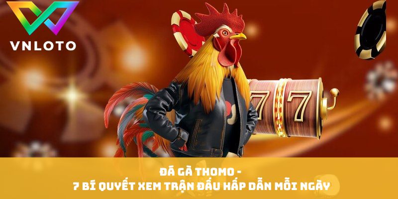 Đá Gà Thomo - 7 Bí Quyết Xem Trận Đấu Hấp Dẫn Mỗi Ngày