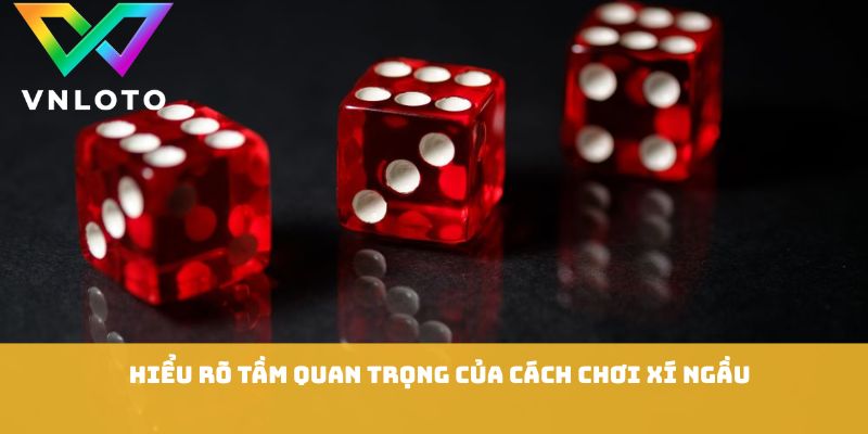 Hiểu rõ tầm quan trọng của cách chơi xí ngầu