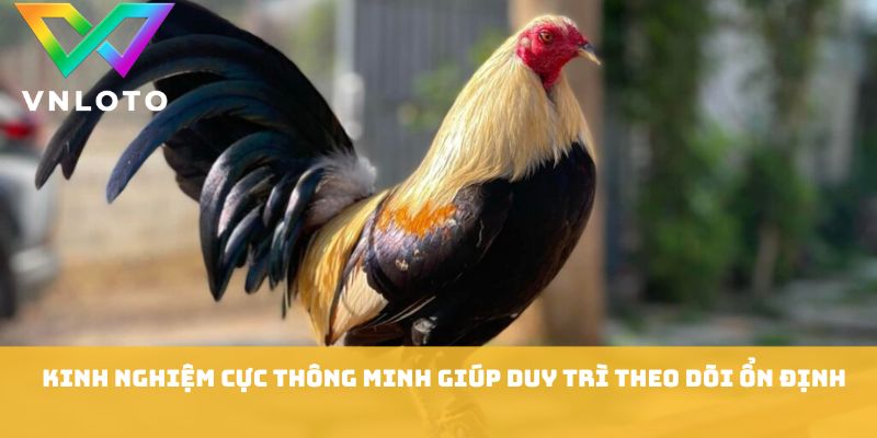 Kinh nghiệm cực thông minh giúp duy trì theo dõi ổn định