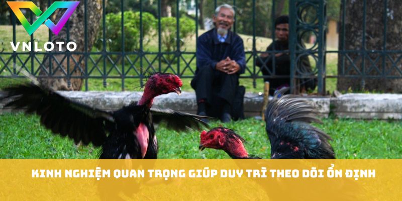 Kinh nghiệm quan trọng giúp duy trì theo dõi ổn định