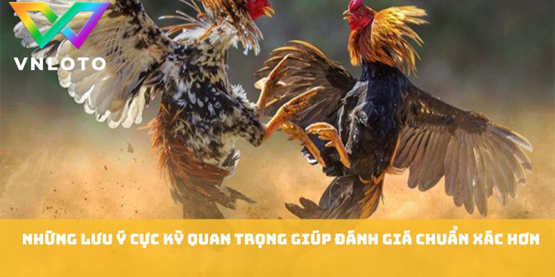 Những lưu ý cực kỳ quan trọng giúp đánh giá chuẩn xác hơn